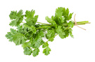 Cilantro and roasted onion infused olive oil - Monadnock Oil and Vinegar, LLC